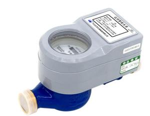 Domestic water meter